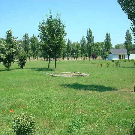 Termal Kemping Tiszaújváros